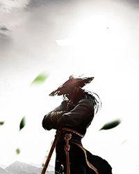狂武战尊女主角有几个